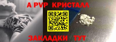 молекула духа Шелехов