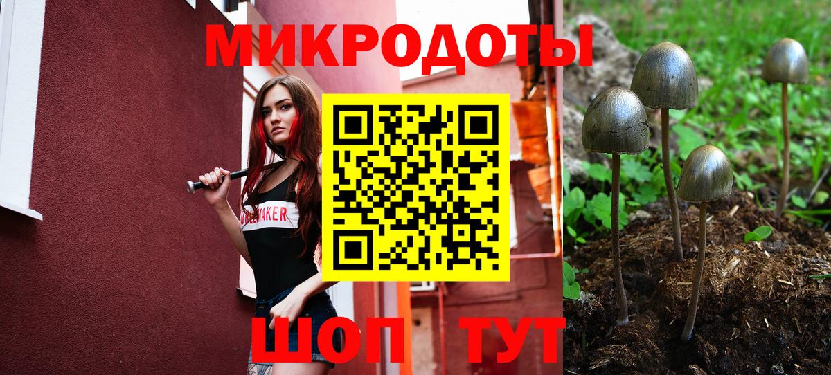 хочу наркоту  Псилоцибиновые грибы мицелий  Вход с VPN  Богородицк  Галлюциногенные грибы Cubensis 