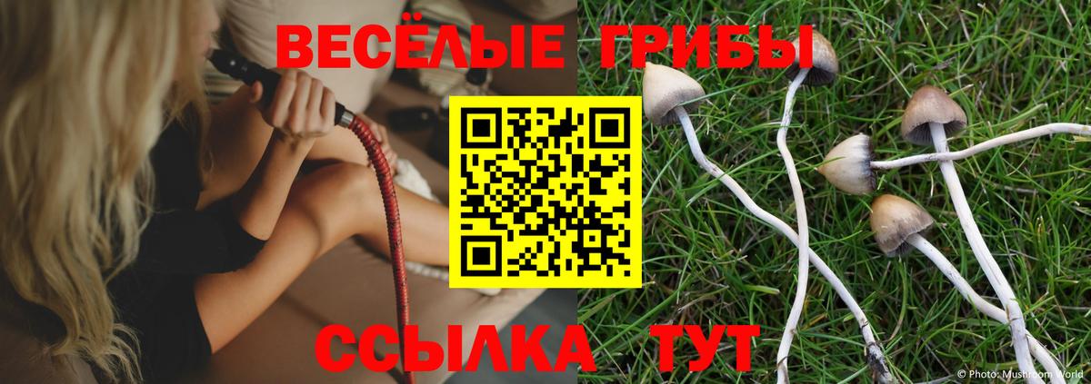 Псилоцибиновые грибы Magic Shrooms Богородицк